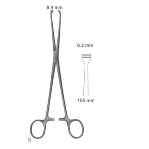 Abdominal Surgery Intestinal