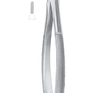 Extracting Forceps