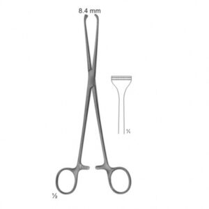 abdominal surgery intestinal