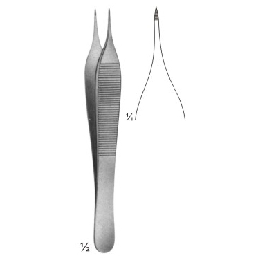 dissecting forceps