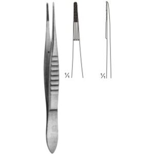 dissecting forceps