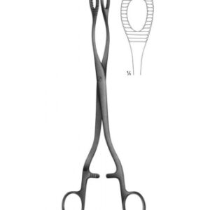 Uterine Probes, Uterine Dressing, Polypus, Ovum Forceps