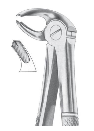 Extracting Forceps