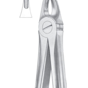 Extracting Forceps