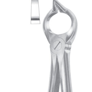 Extracting Forceps
