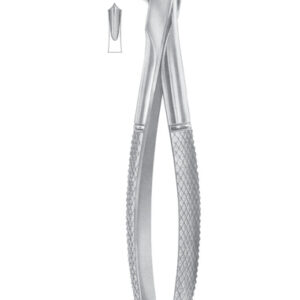 Extracting Forceps