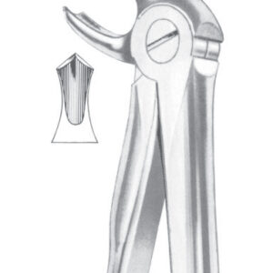 Extracting Forceps